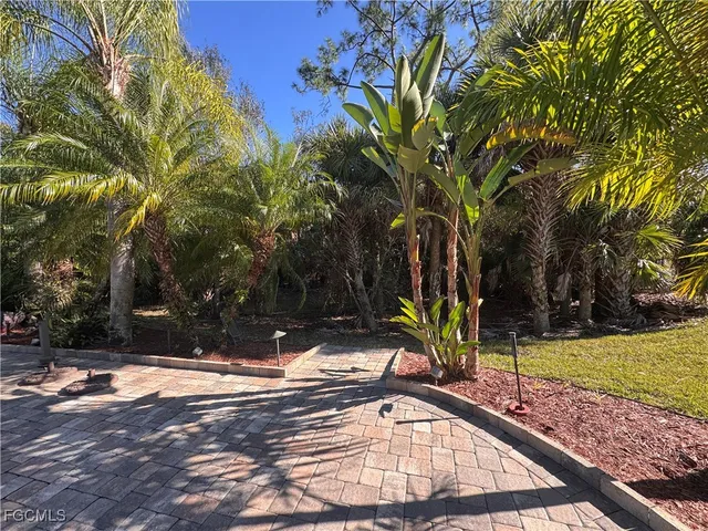 a view of a swimming pool with a yard and palm trees