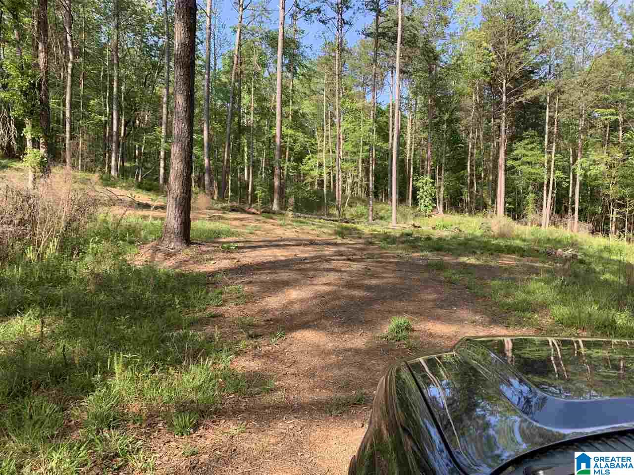 1585 Rex Lake Road, Unit 1585 Leeds, AL 35094 - Photo 16 of 16