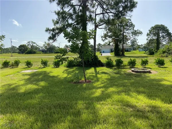 a view of a park with large trees
