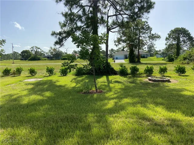 a view of a park with large trees