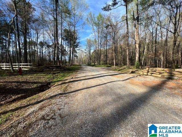 17 Rustic Oaks Drive, Unit 9 Sterrett, AL 35147 - Photo 3 of 13