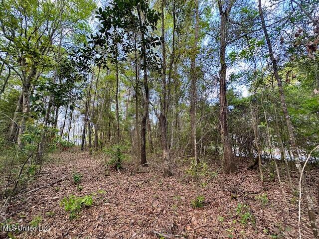 Simon Boulevard Ocean Springs, MS 39564 - Photo 16 of 19 Land