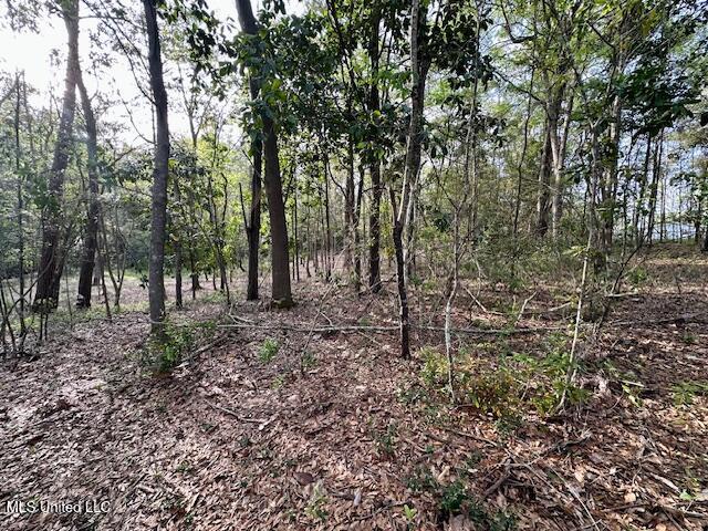 Simon Boulevard Ocean Springs, MS 39564 - Photo 17 of 19 Land