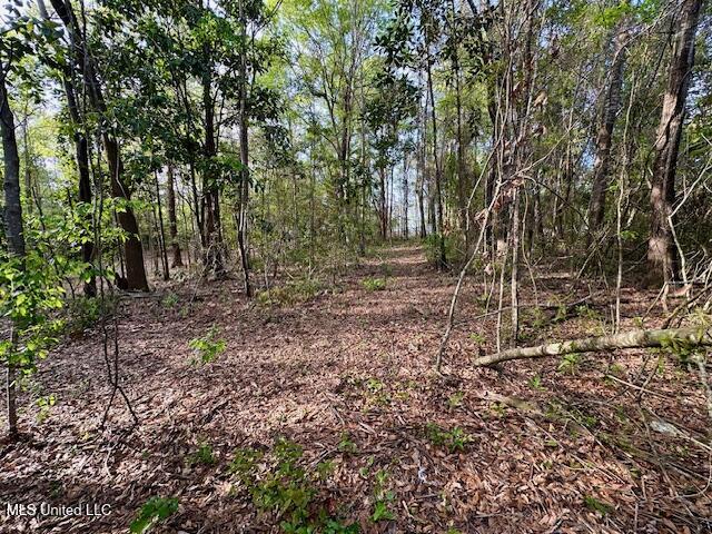 Simon Boulevard Ocean Springs, MS 39564 - Photo 18 of 19 Land