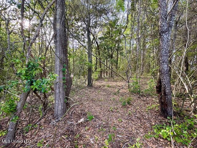 Simon Boulevard Ocean Springs, MS 39564 - Photo 19 of 19 Land