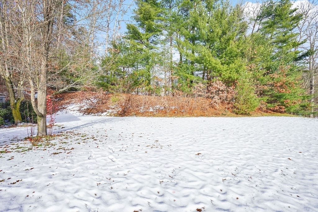 1 Pioneer Drive Palmer, MA 01069 - Photo 30 of 31 a view of a yard with a tree