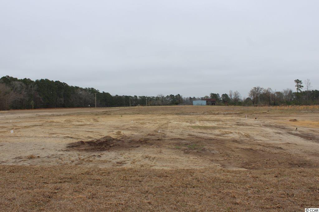 7781 Louisville Road Conway, SC 29526 - Photo 21 of 32 Gallery Image 21