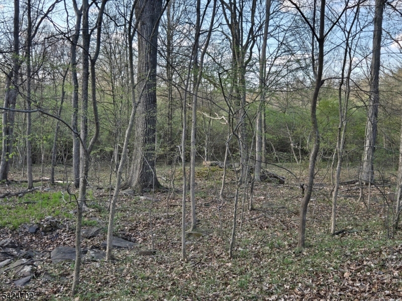 12 Locktown School Road Flemington, NJ 08822 - Photo 11 of 37