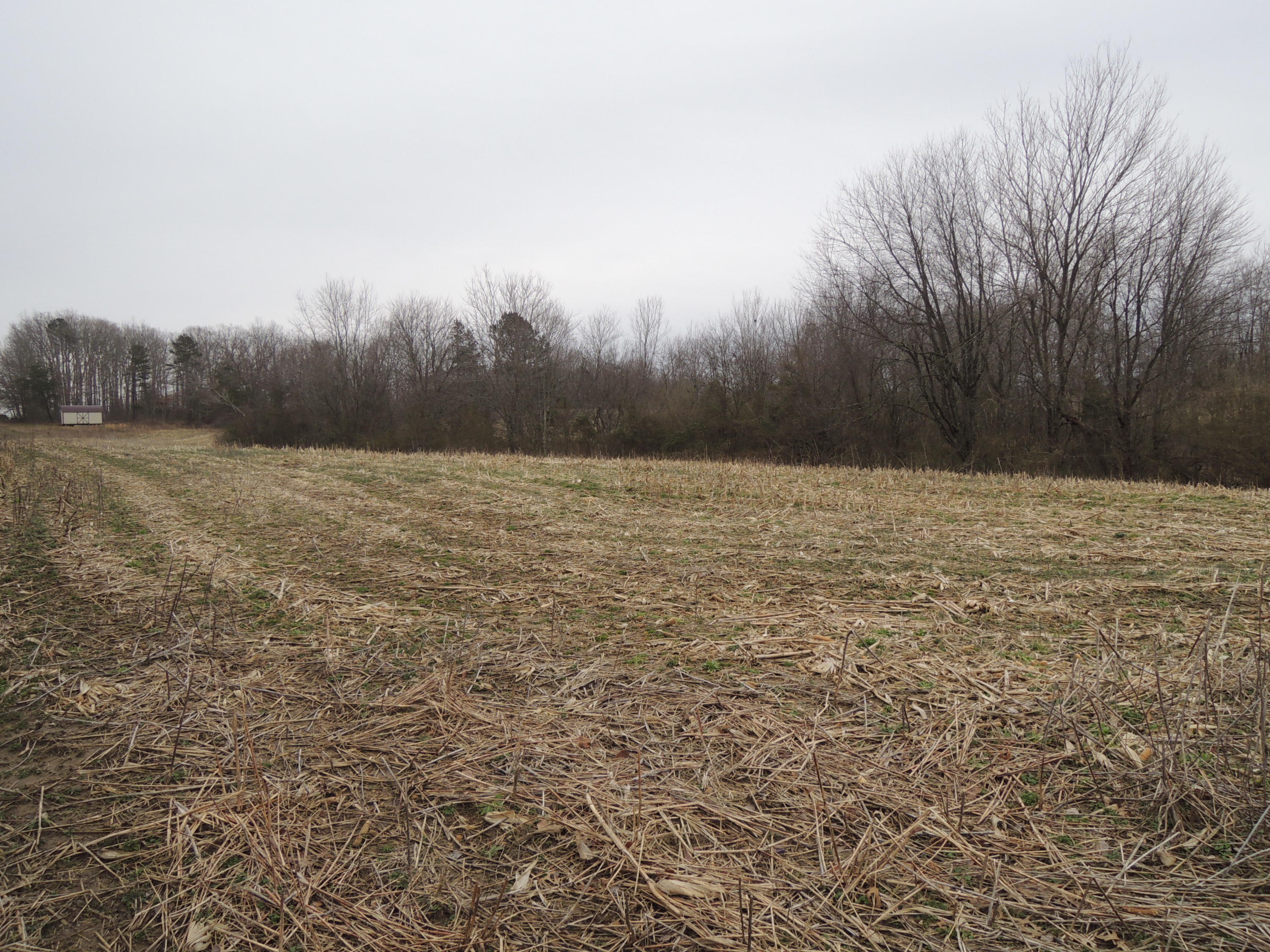 Ray Brown Road Jamestown, TN 38556 - Photo 3 of 3 Selby (3)