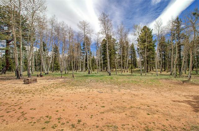 749 Aspen Village Road Divide, CO 80814 - Photo 36 of 49 Aspens and pine trees on the property