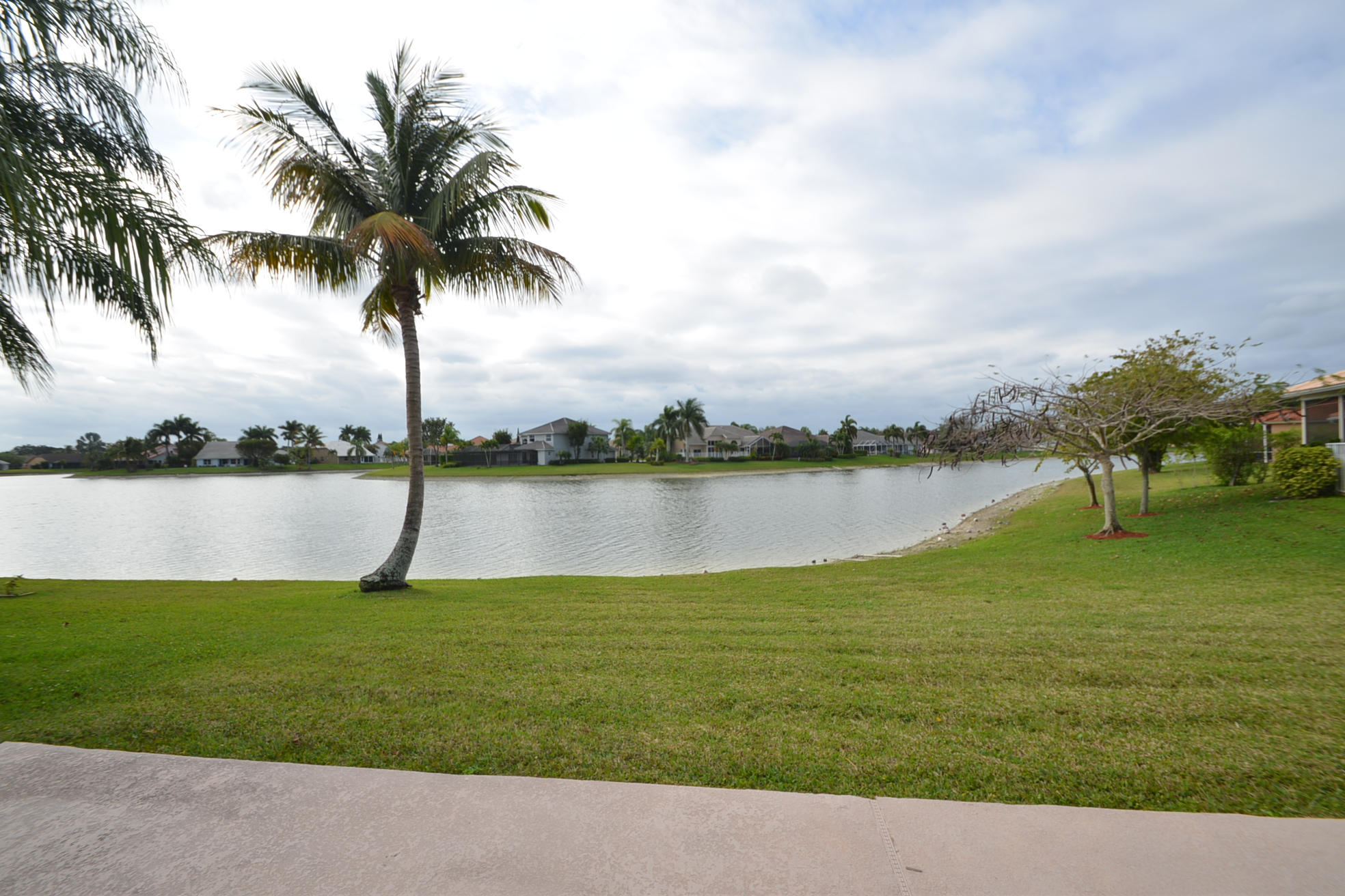 View from Back Patio