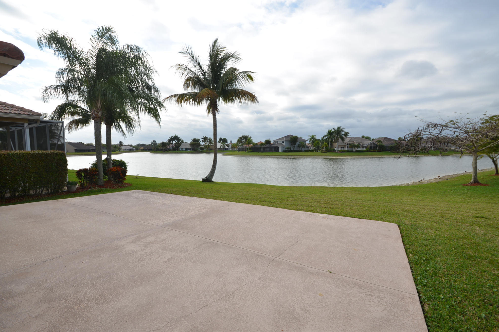 View from Back Patio