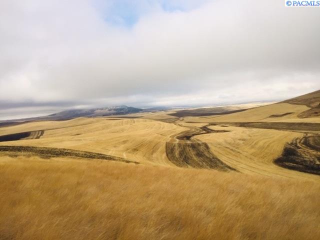 Tbd Palouse Cove Road Palouse, WA 99161 - Photo 1 of 1 Gallery Image 1