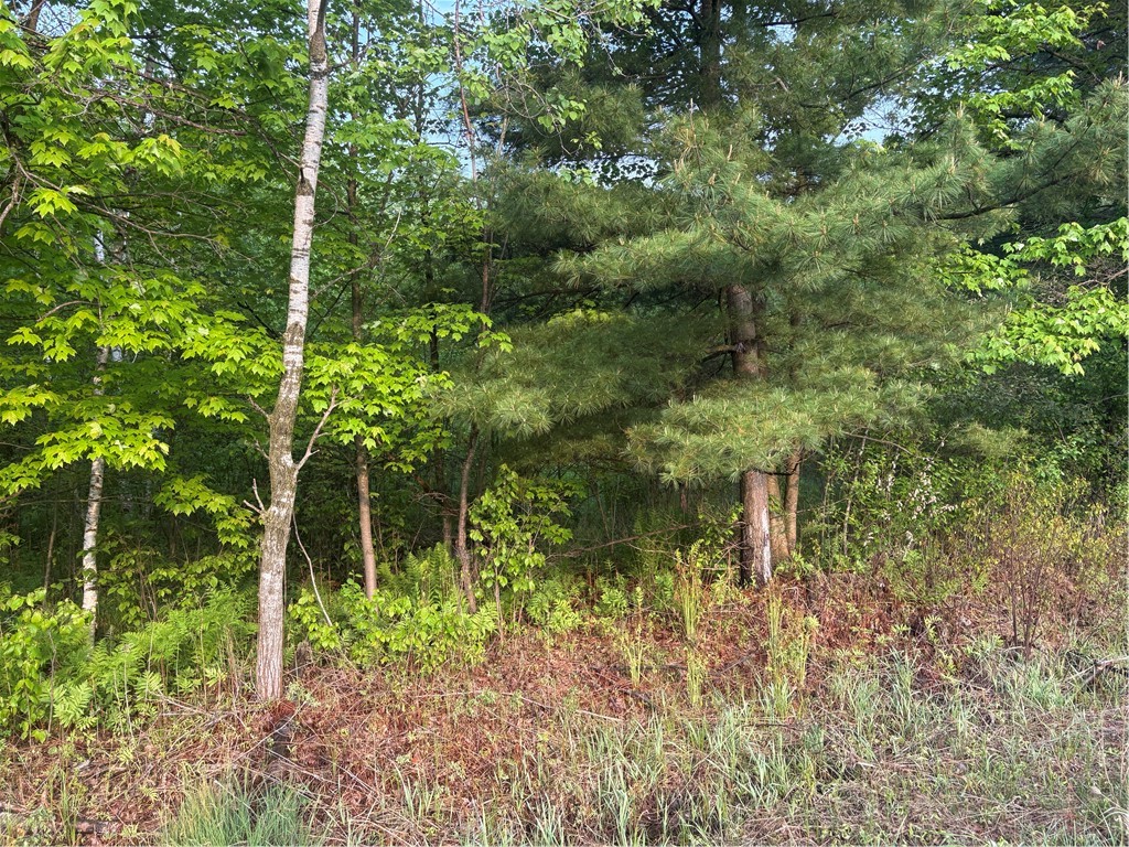 0 Highway 12 Merrillan, WI 54754 - Photo 1 of 3