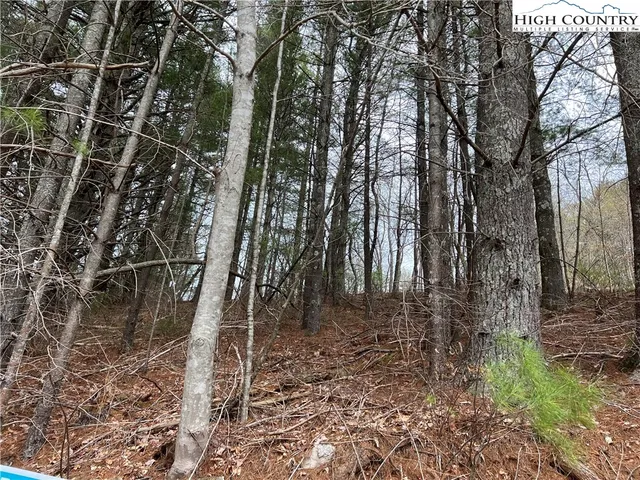 $10,000 | 4 Speckled Drive, Laurel Springs, NC 28644