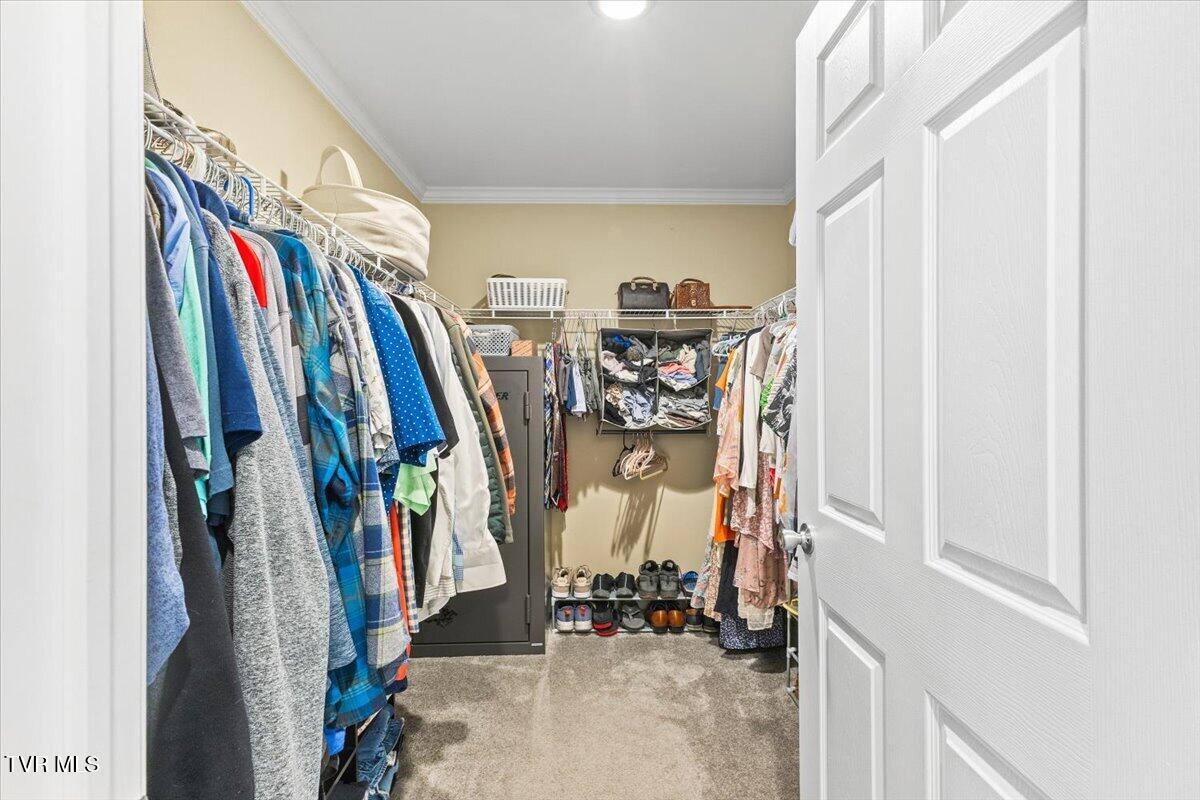 933 Hunting Hill Road Piney Flats, TN 37686 - Photo 43 of 58 43-128A5457