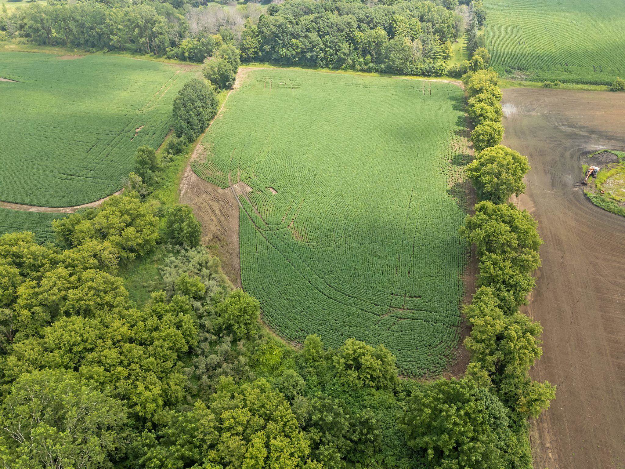 Julius Drive Greenville, WI 54942 - Photo 12 of 23