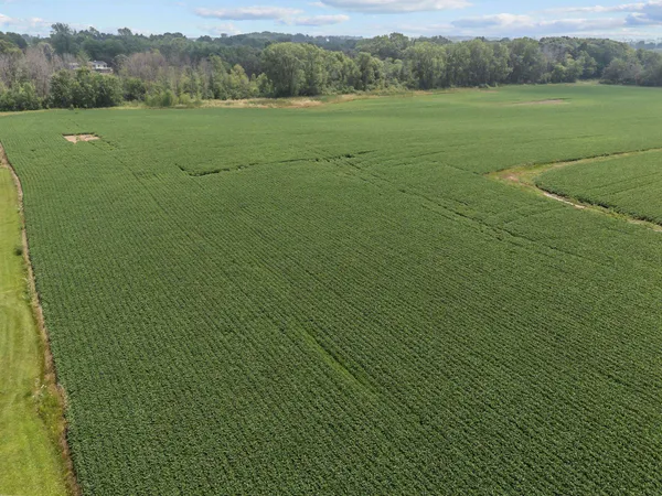 $600,000 | Julius Drive, Greenville, WI 54942