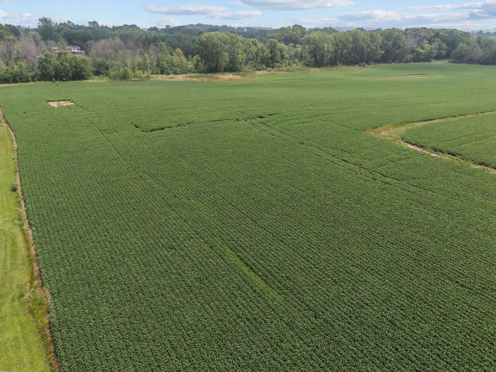 Julius Drive Greenville, WI 54942 - Photo 21 of 23