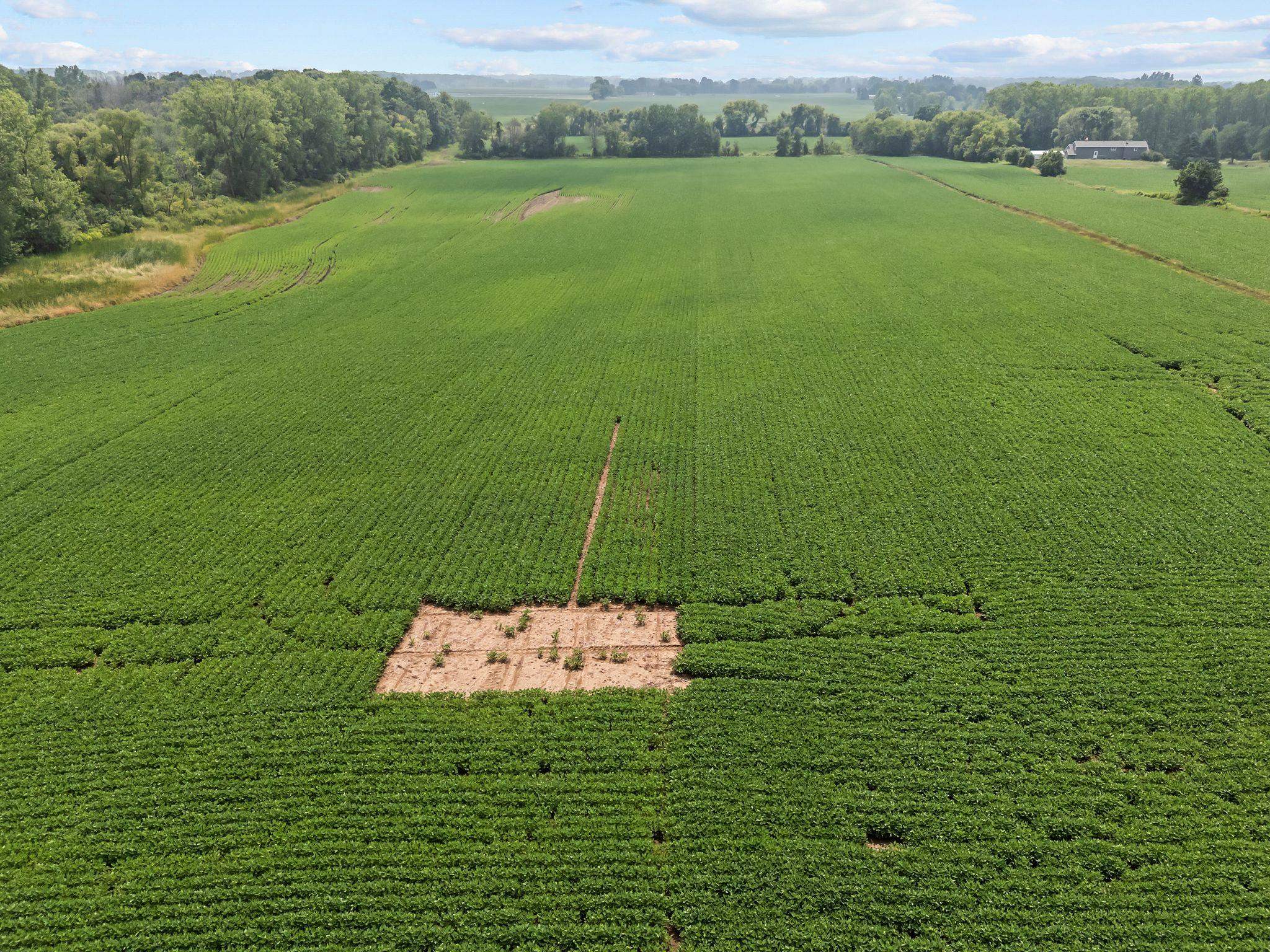 Julius Drive Greenville, WI 54942 - Photo 22 of 23