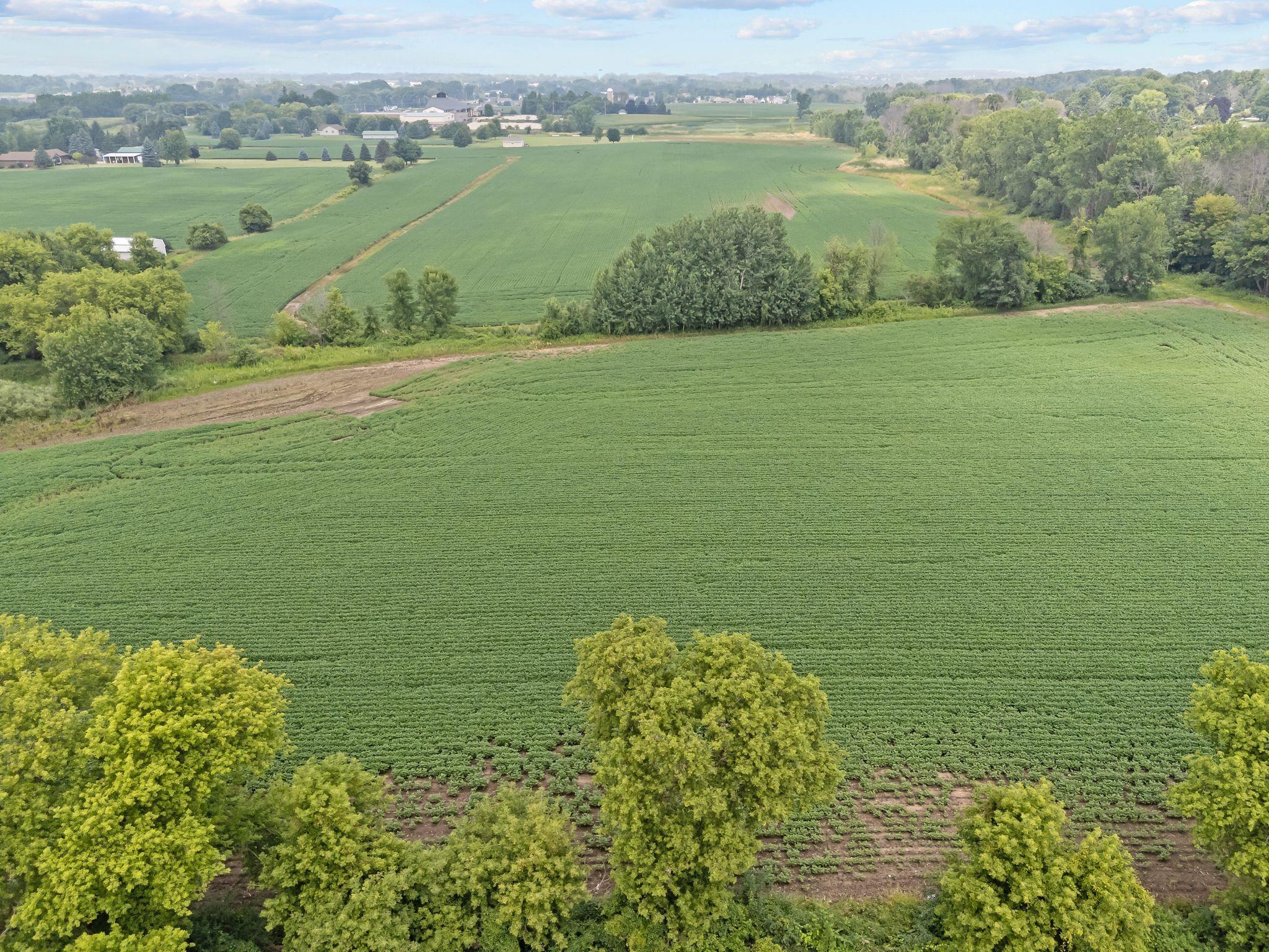 Julius Drive Greenville, WI 54942 - Photo 10 of 23