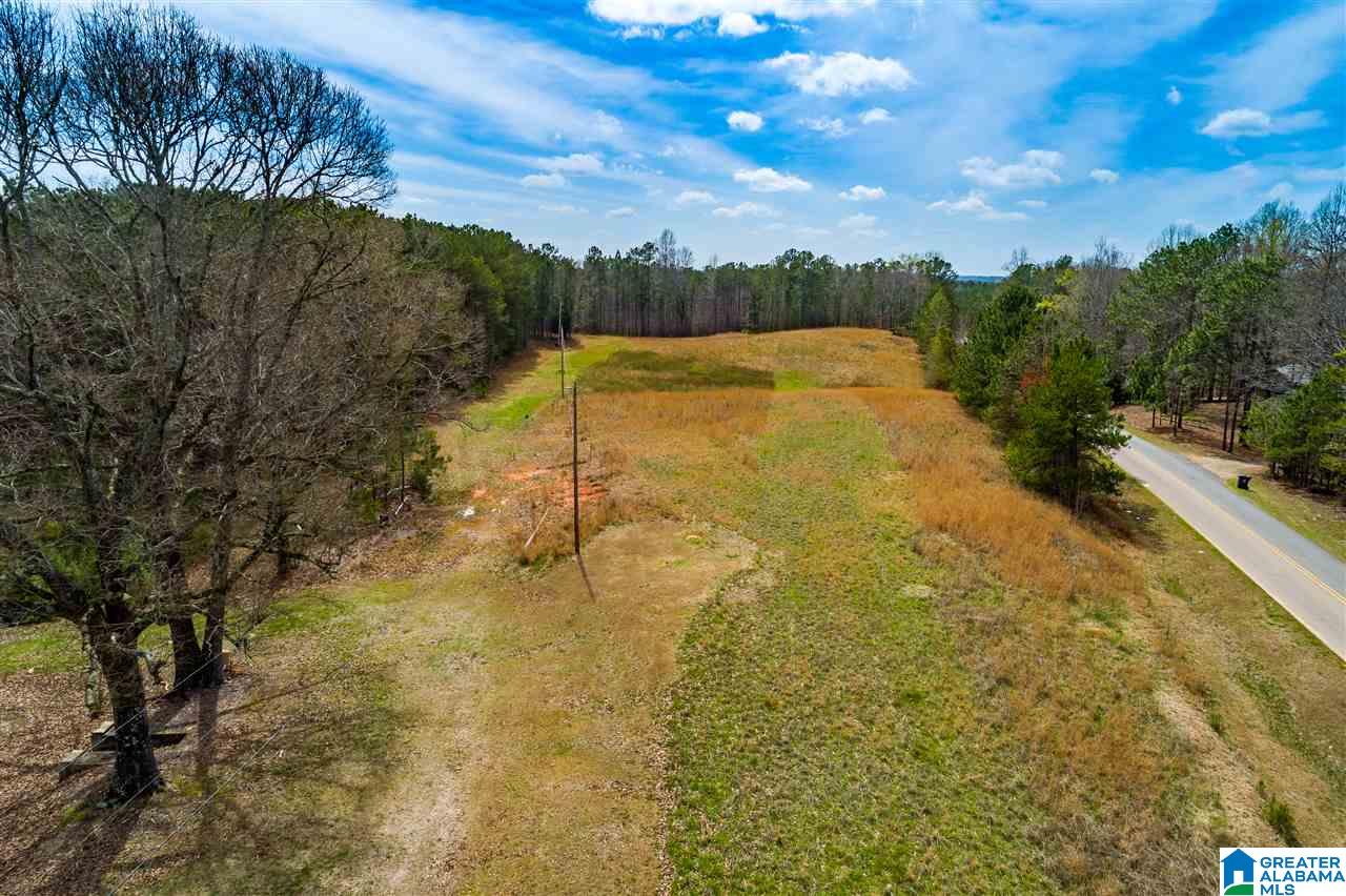 4199 Cowpens Road Alexander City, AL 35010 - Photo 41 of 50