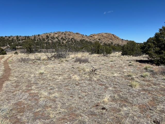 3 B Majors Ranch Road Walsenburg, CO 81089 - Photo 20 of 54