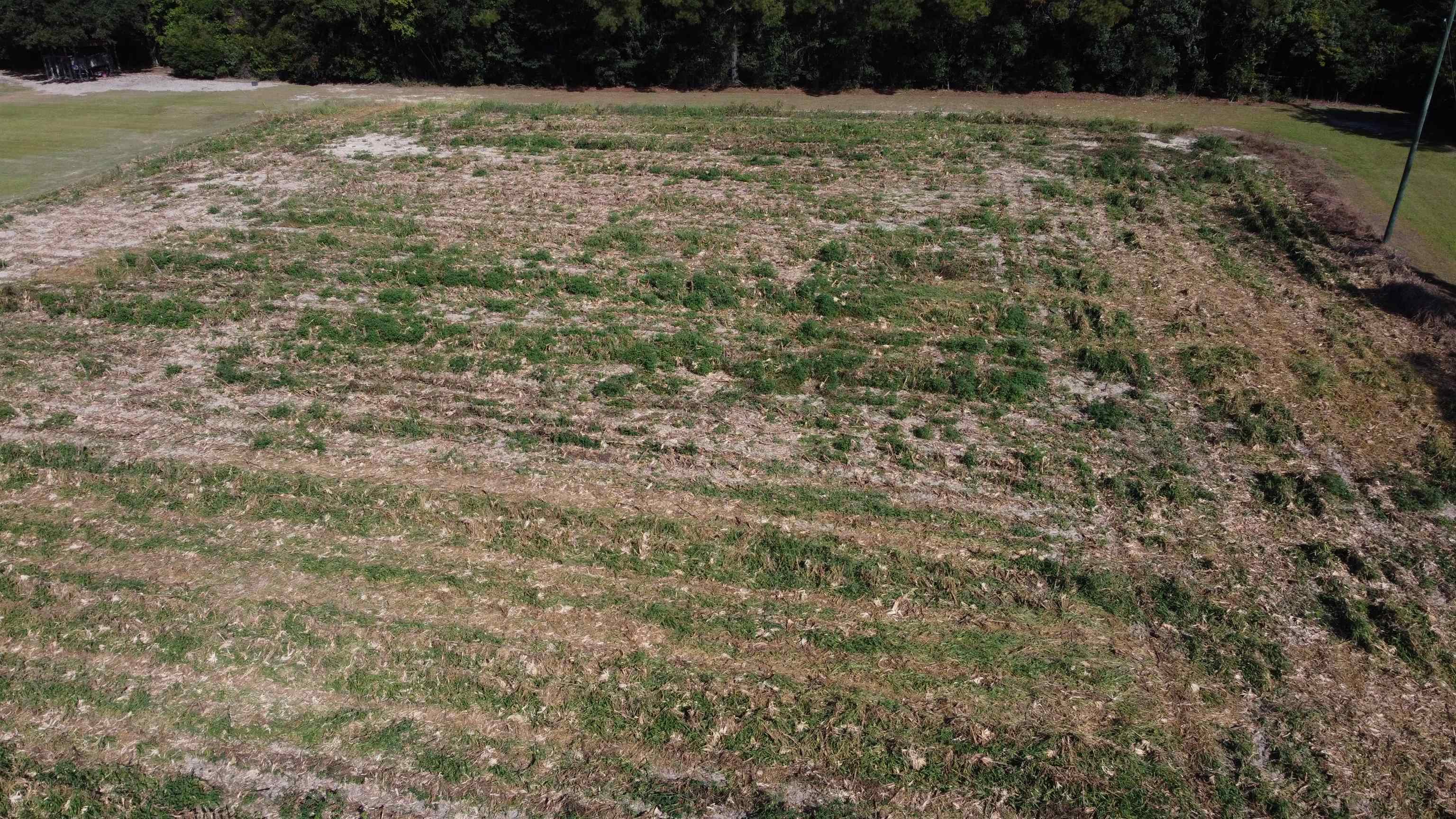 Lot 2 Mar Cap Road Galivants Ferry, SC 29544 - Photo 2 of 6 Gallery Image 2