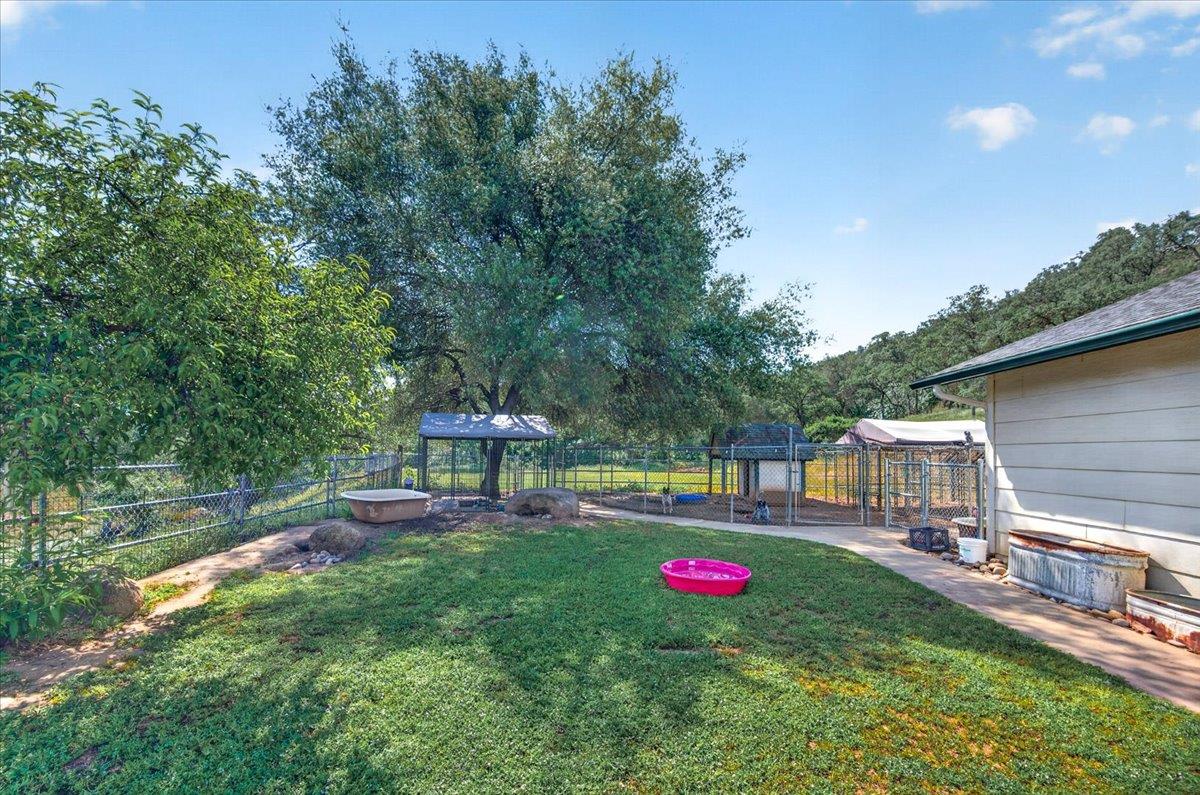 36209 Sand Creek Road Squaw Valley, CA 93675 - Photo 48 of 85
