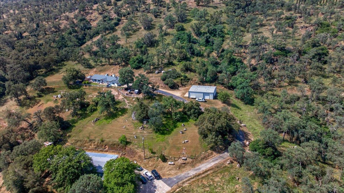 36209 Sand Creek Road Squaw Valley, CA 93675 - Photo 79 of 85