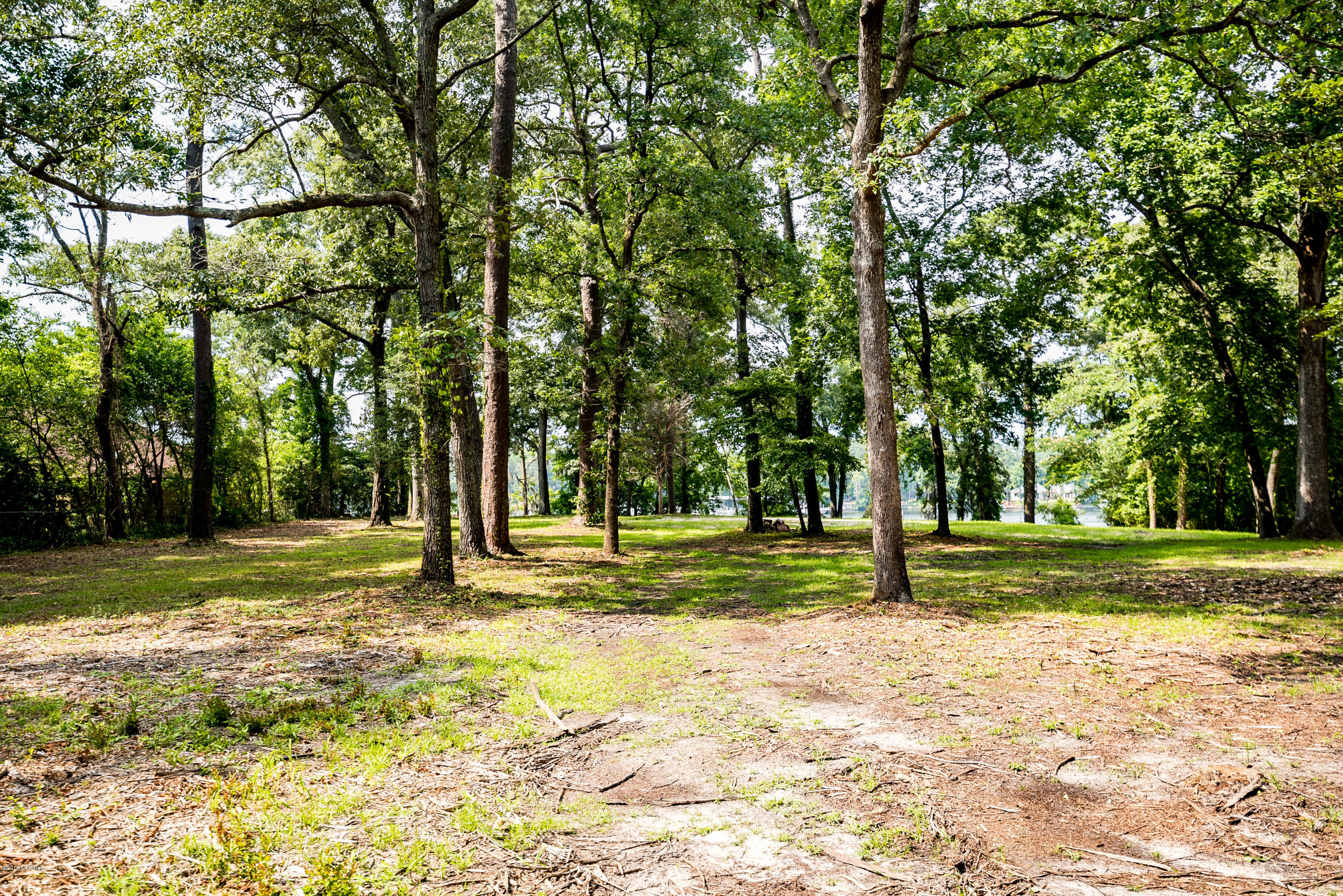 2339 Chinquapin Road New Bern, NC 28562 - Photo 1 of 63 _RAD4751