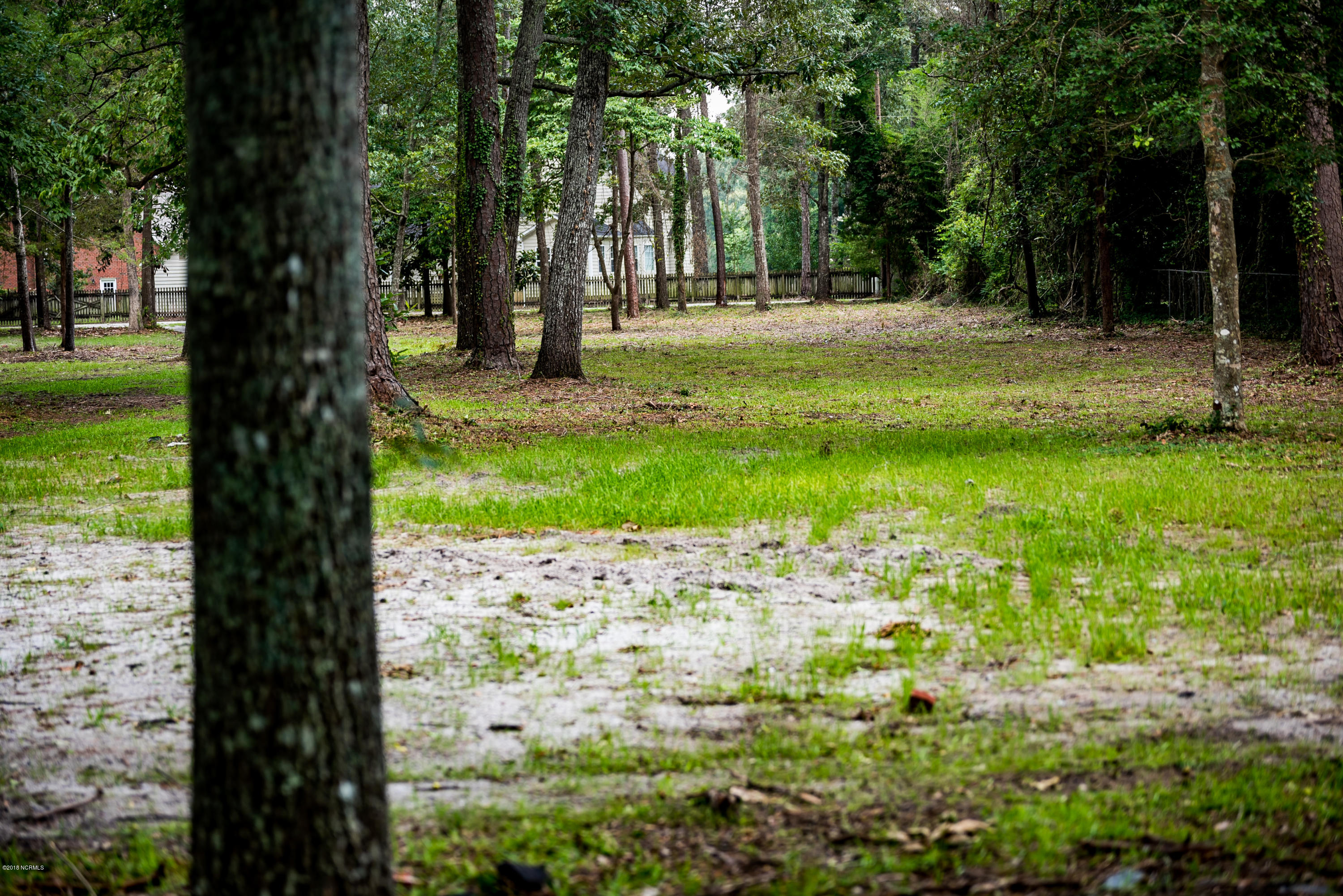 2339 Chinquapin Road New Bern, NC 28562 - Photo 11 of 63 _RAD4761