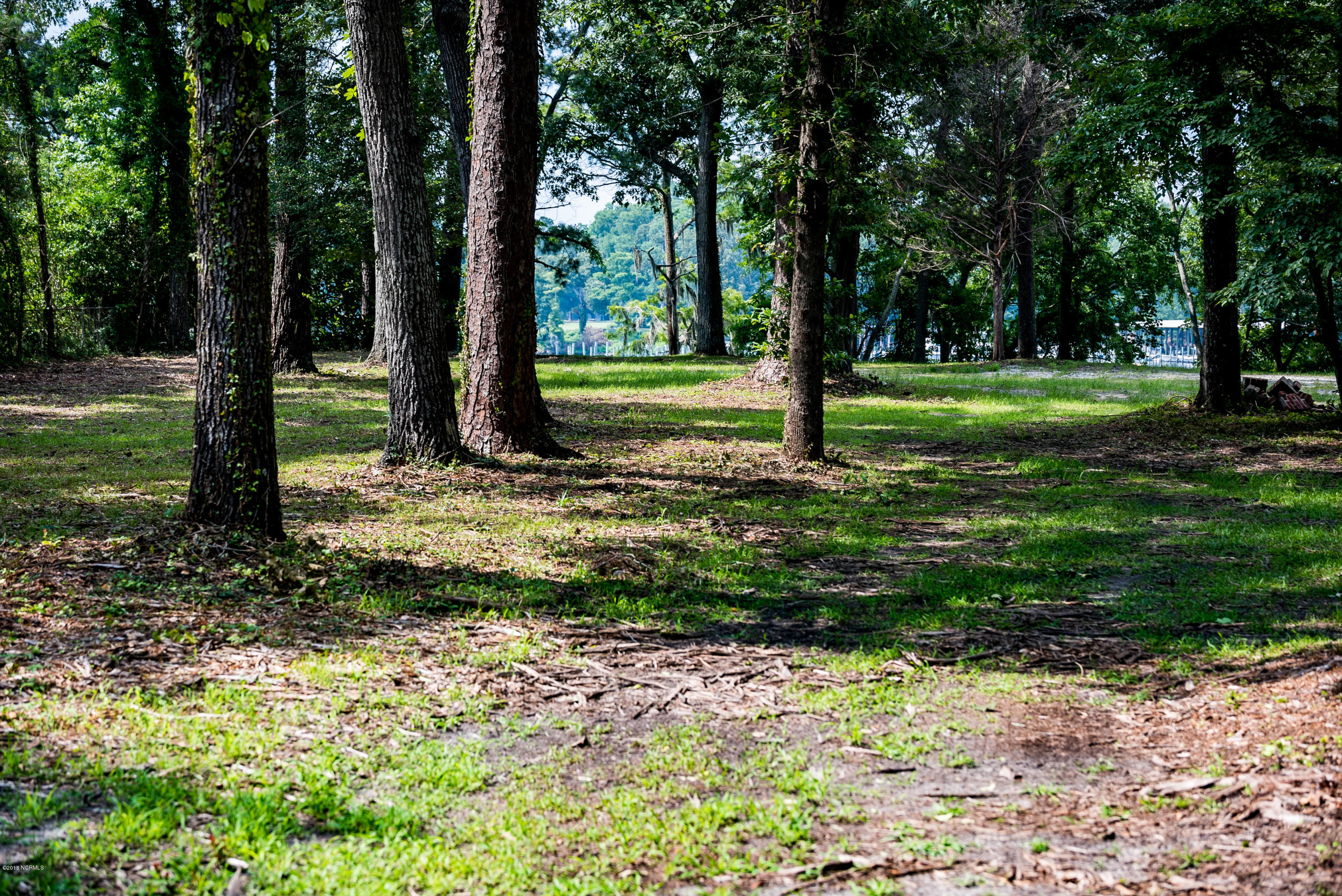2339 Chinquapin Road New Bern, NC 28562 - Photo 2 of 63 _RAD4752