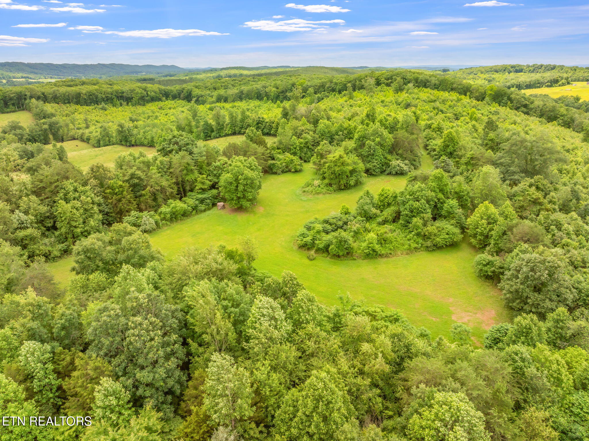 0 Grigsby Hollow Road Kingston, TN 37763 - Photo 20 of 34 26-web-or-mls-Grigsby Hollow Land-22