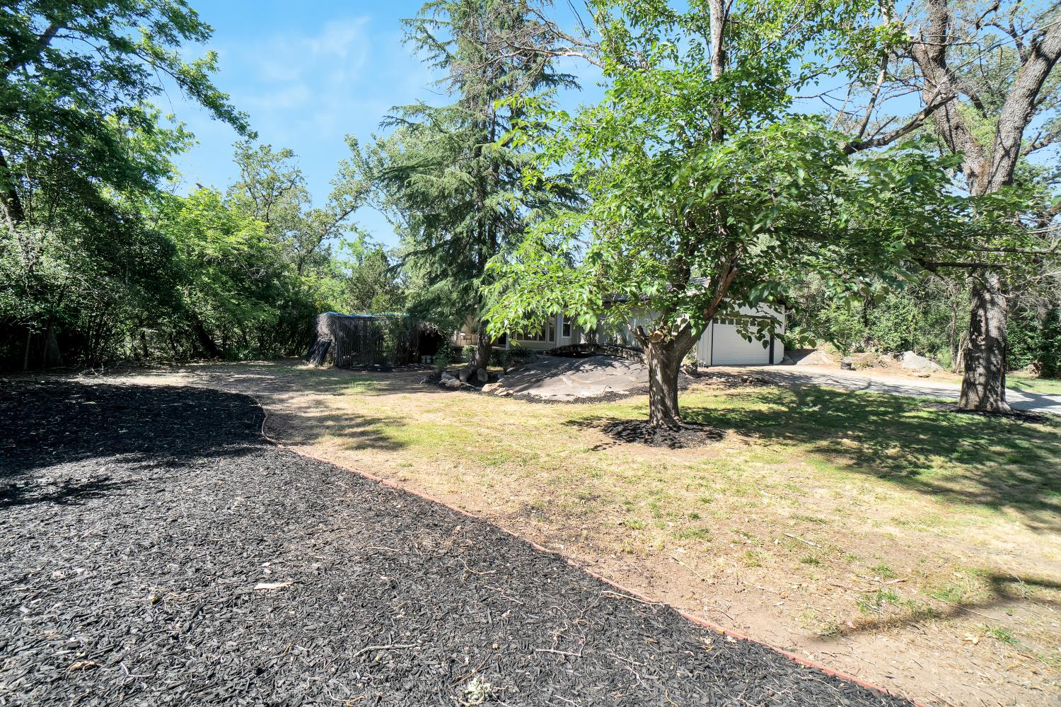 6299 Horseshoe Bar Road Loomis, CA 95650 - Photo 35 of 43 a view of yard with trees