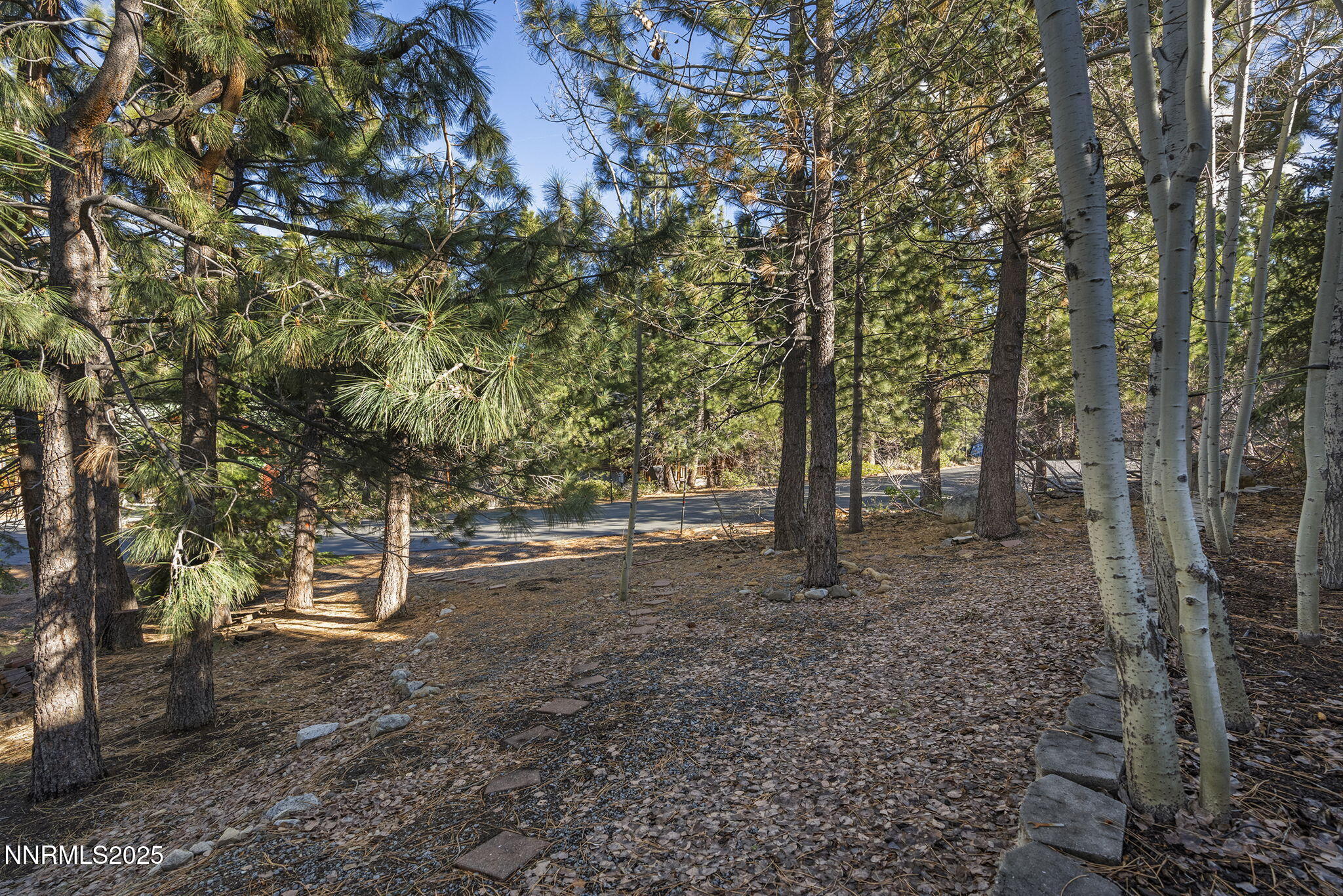 50 Sunridge Drive Reno, NV 89511 - Photo 25 of 29 26-web-or-mls-_DSC0539