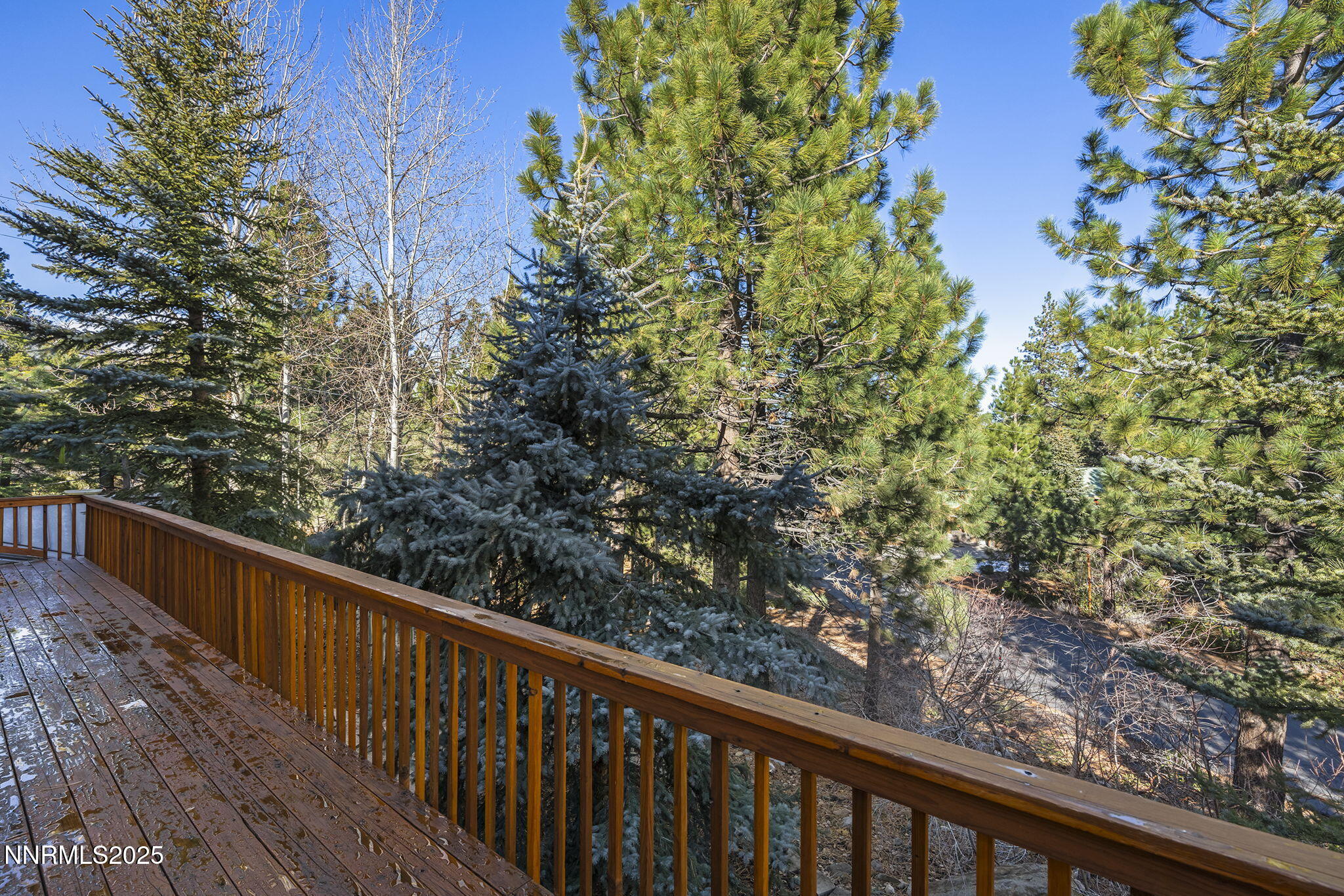 50 Sunridge Drive Reno, NV 89511 - Photo 28 of 29 28-web-or-mls-_DSC0550