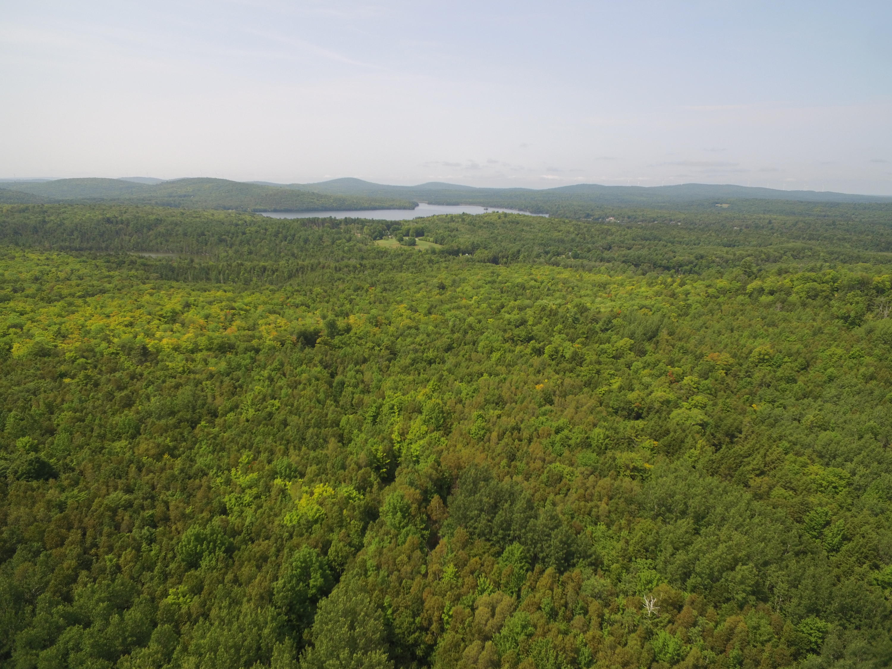 186 Ludden Hill Road Lee, ME 04455 - Photo 28 of 37 DJI_0546