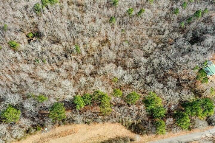 0 Blackwood Road Parrish, AL 35580 - Photo 3 of 6 bwr5