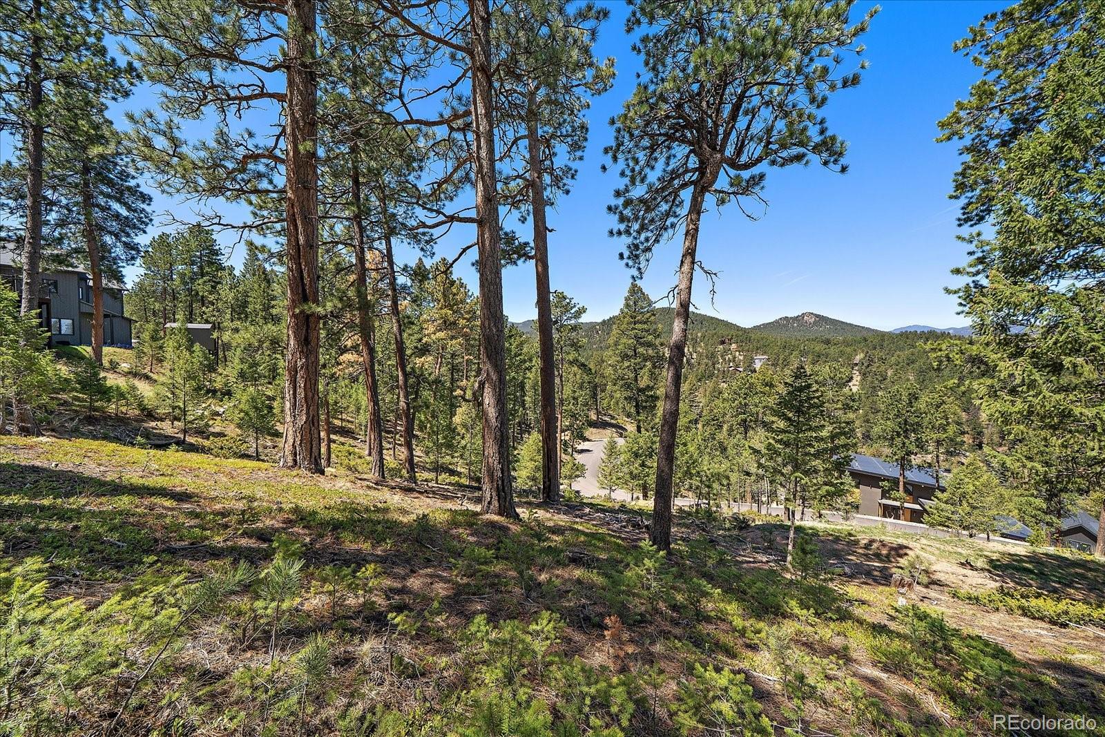 6875 Lynx Lair Road Evergreen, CO 80439 - Photo 11 of 21