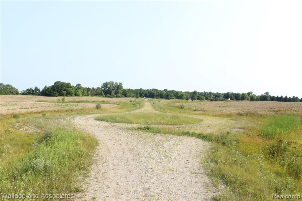 Lot 4 McIntyre Road North Street, MI 48049 - Photo 8 of 14