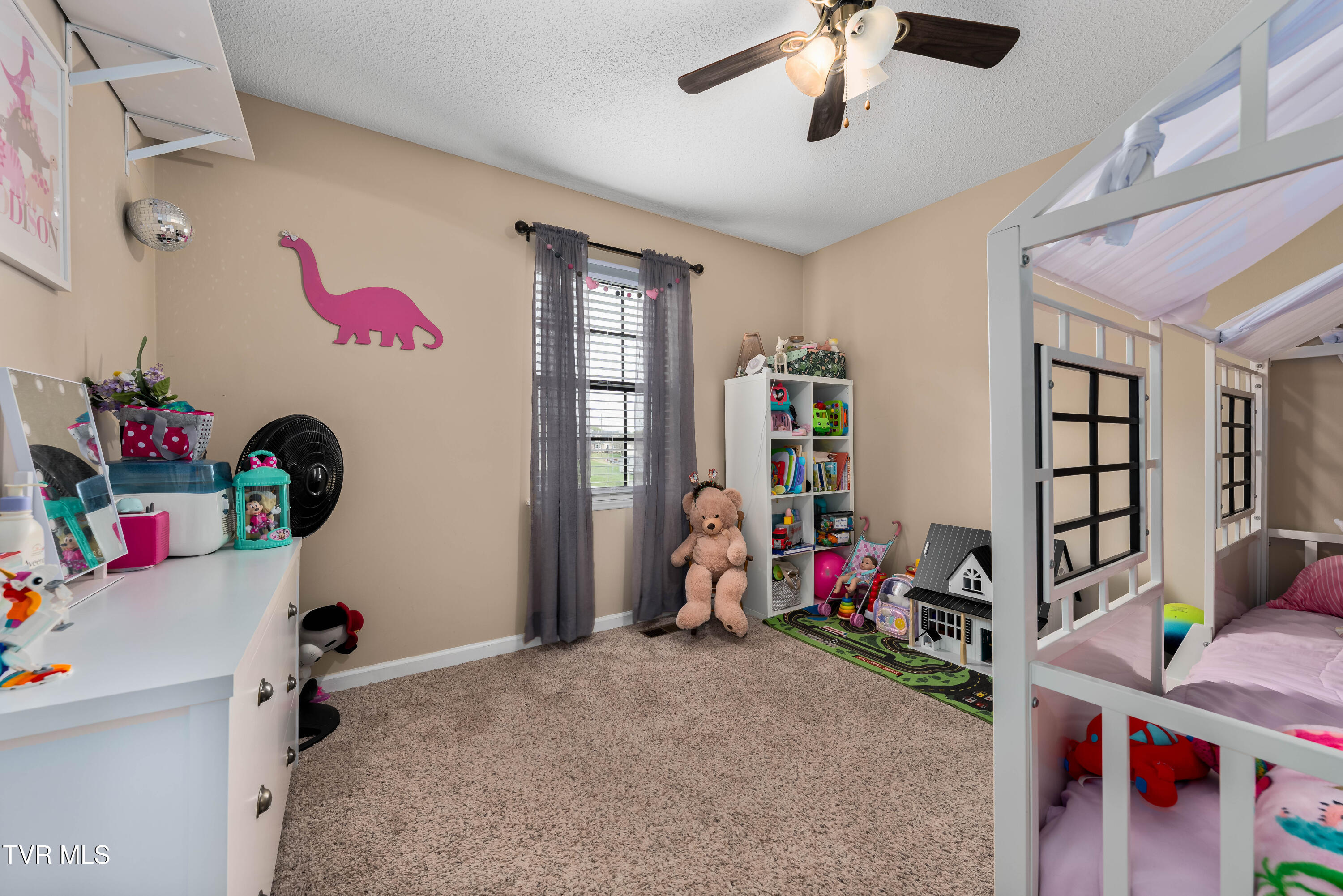 253 Springview Drive Gray, TN 37615 - Photo 19 of 45 253 Springview Dr (37 of 46)