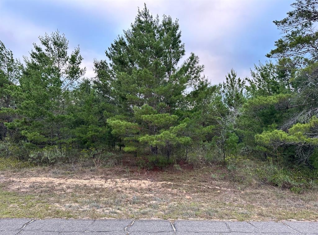 a view of a yard with a tree