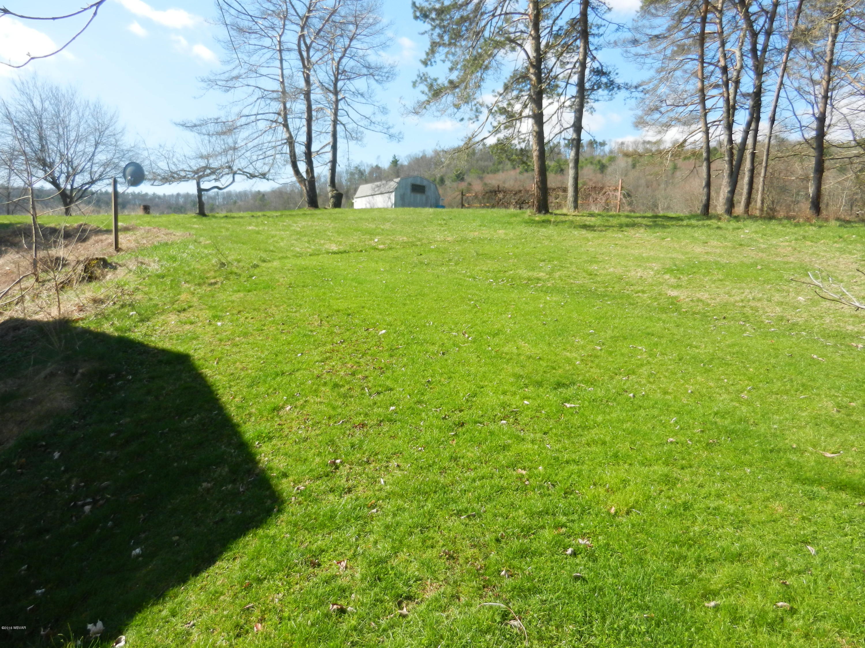 back yard