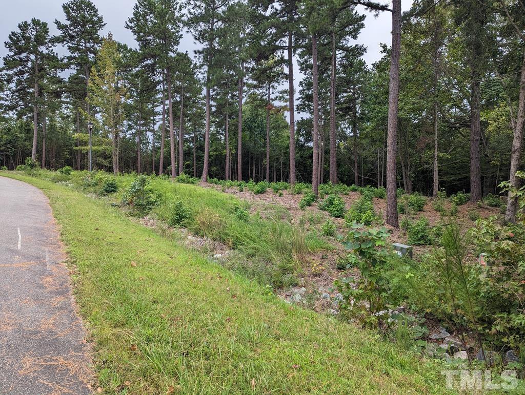 Lot 18 Grace Stone Drive Clarksville, VA 23927 - Photo 5 of 25 a large yard with lots of green space and trees