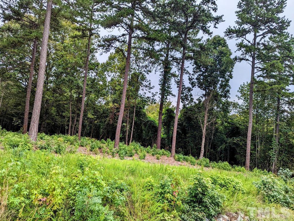 Lot 18 Grace Stone Drive Clarksville, VA 23927 - Photo 6 of 25 a backyard of a house with lots of green space and fountain