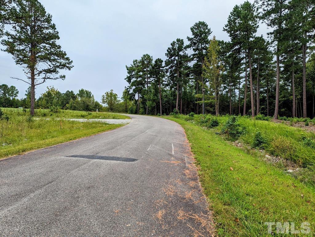 Lot 18 Grace Stone Drive Clarksville, VA 23927 - Photo 7 of 25 a view of a park