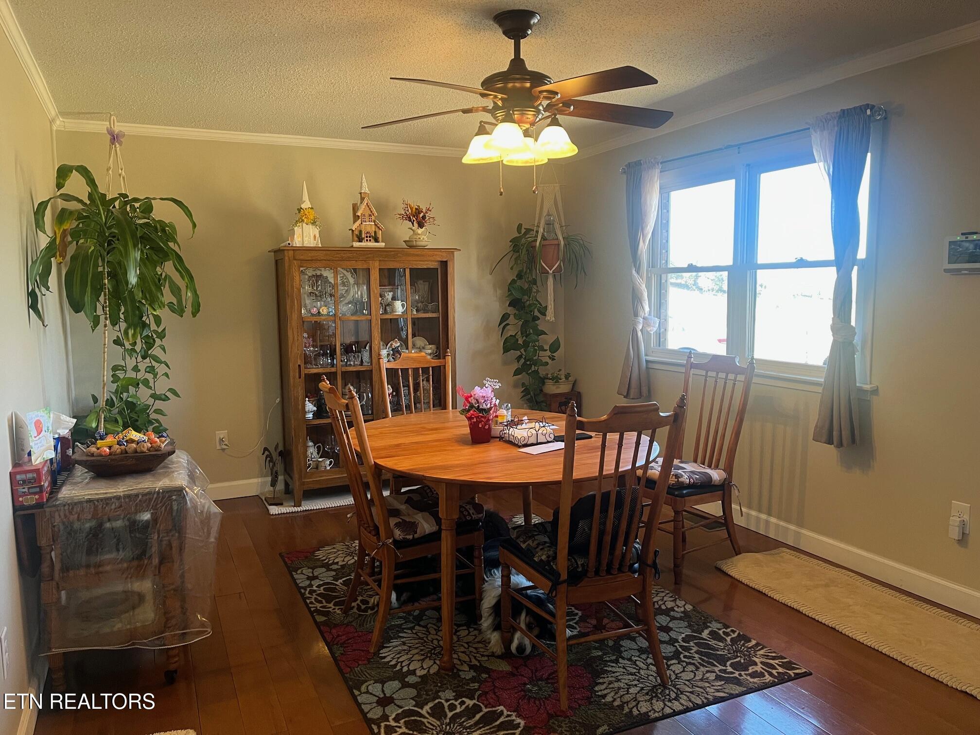 235 Parliament Road Harrogate, TN 37752 - Photo 16 of 29 Par 26