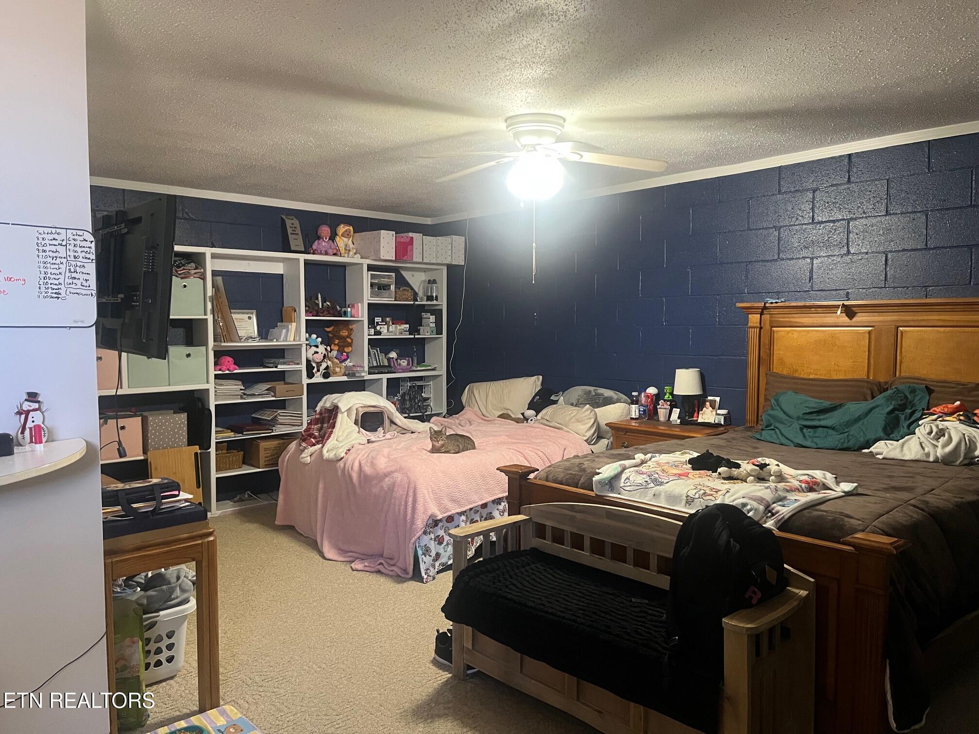 235 Parliament Road Harrogate, TN 37752 - Photo 29 of 29 Par 22