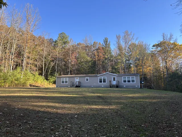 a view of a forest that has large trees